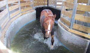 Aqua-Flow Treadmill - Horse Aqua Trainer - Footing Solutions USA