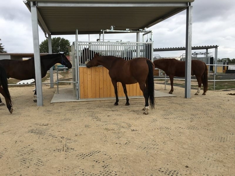 EURO Horse Paddock Mats Footing Solutions USA LLC.