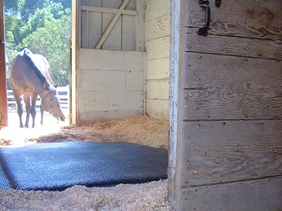 Horse Stall Mattresses Softbed Comfort Footing Solutions Usa Llc