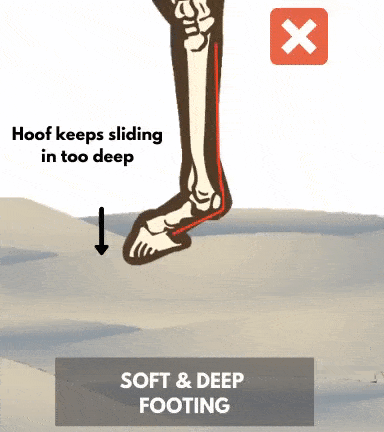 Too soft and deep horse arena footing
