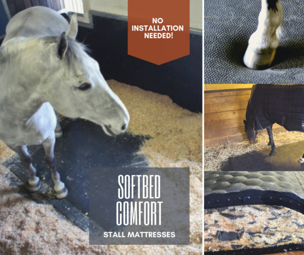 Caring for Your Horse from the Ground Up with SoftBed Comfort Stall Mats