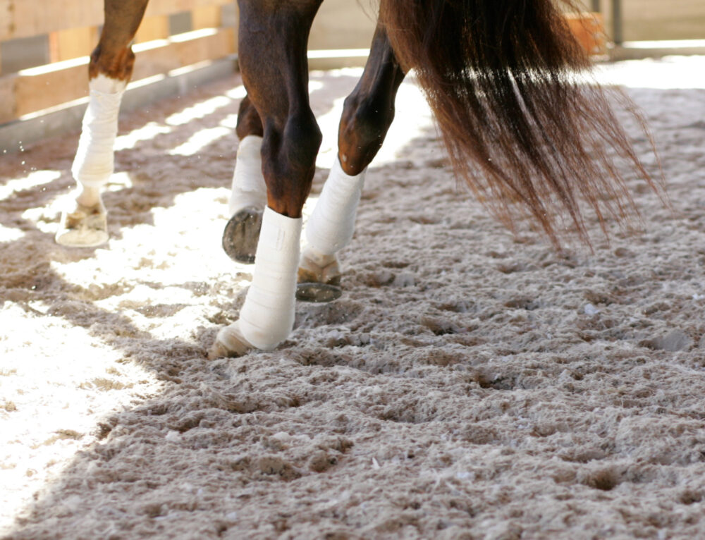 Horse Arena Footing 101 Footing Solutions USA LLC.