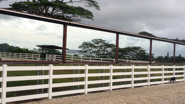 outdoor mirrors