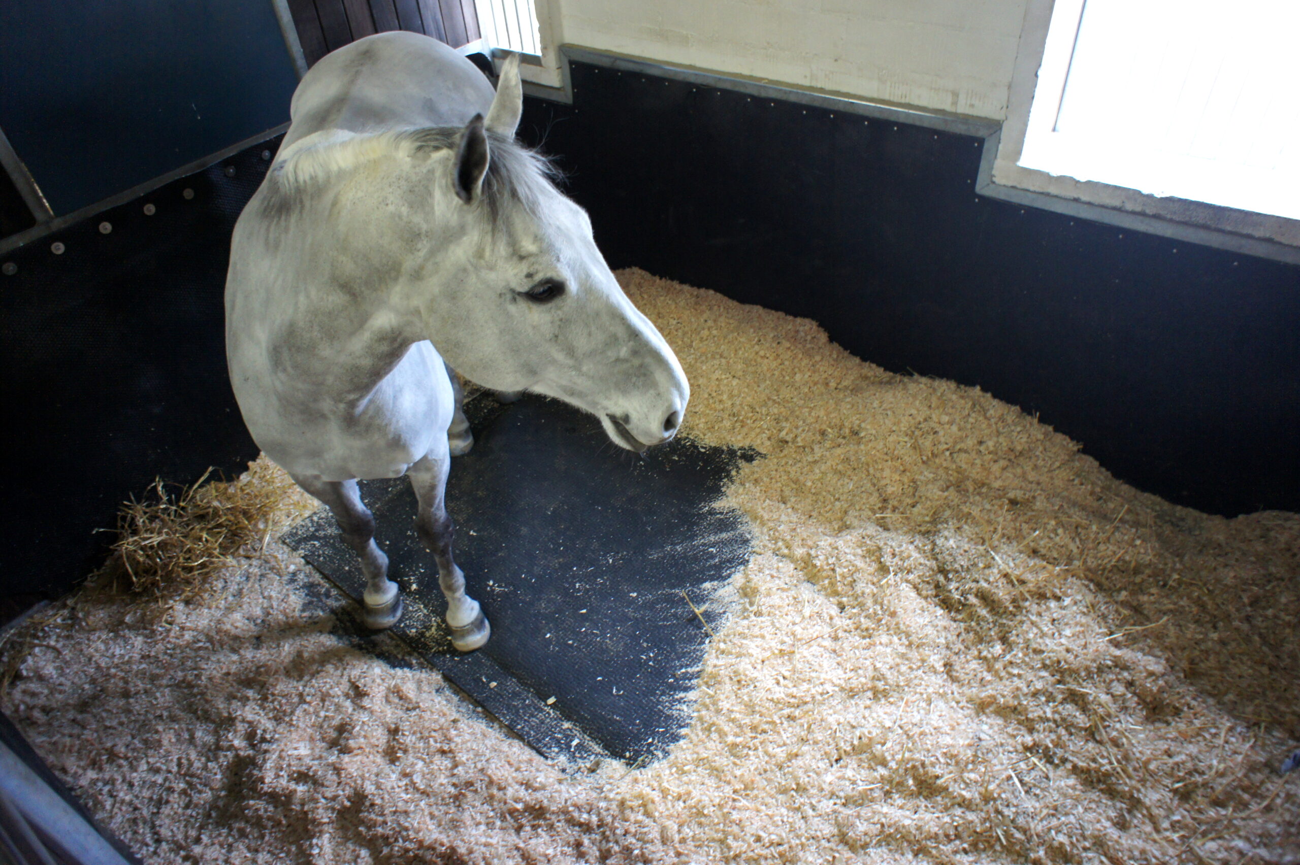 Horse Stall Mattresses Softbed Comfort Footing Solutions Usa Llc