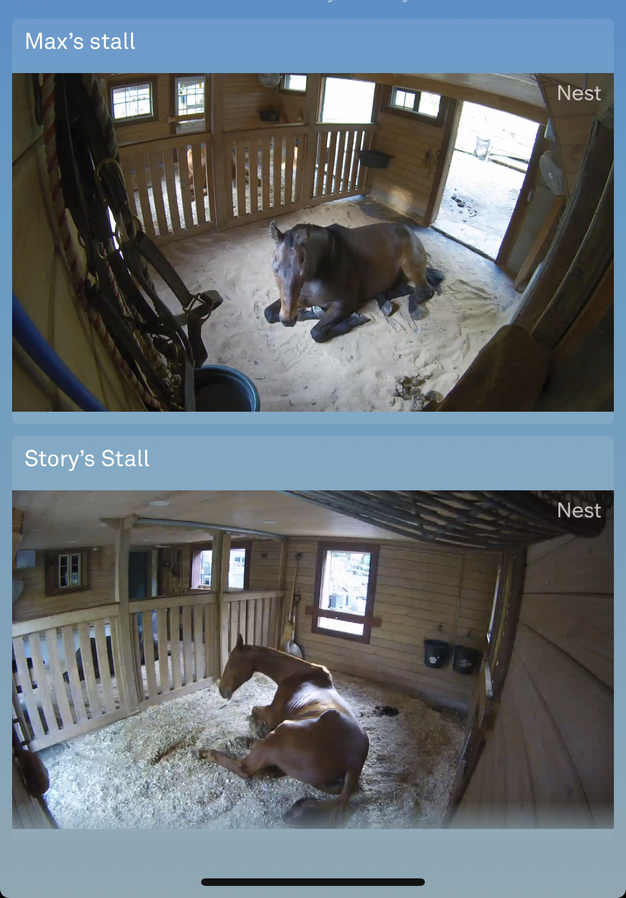 Horse Stall Mattresses SoftBed Comfort Footing Solutions USA LLC.