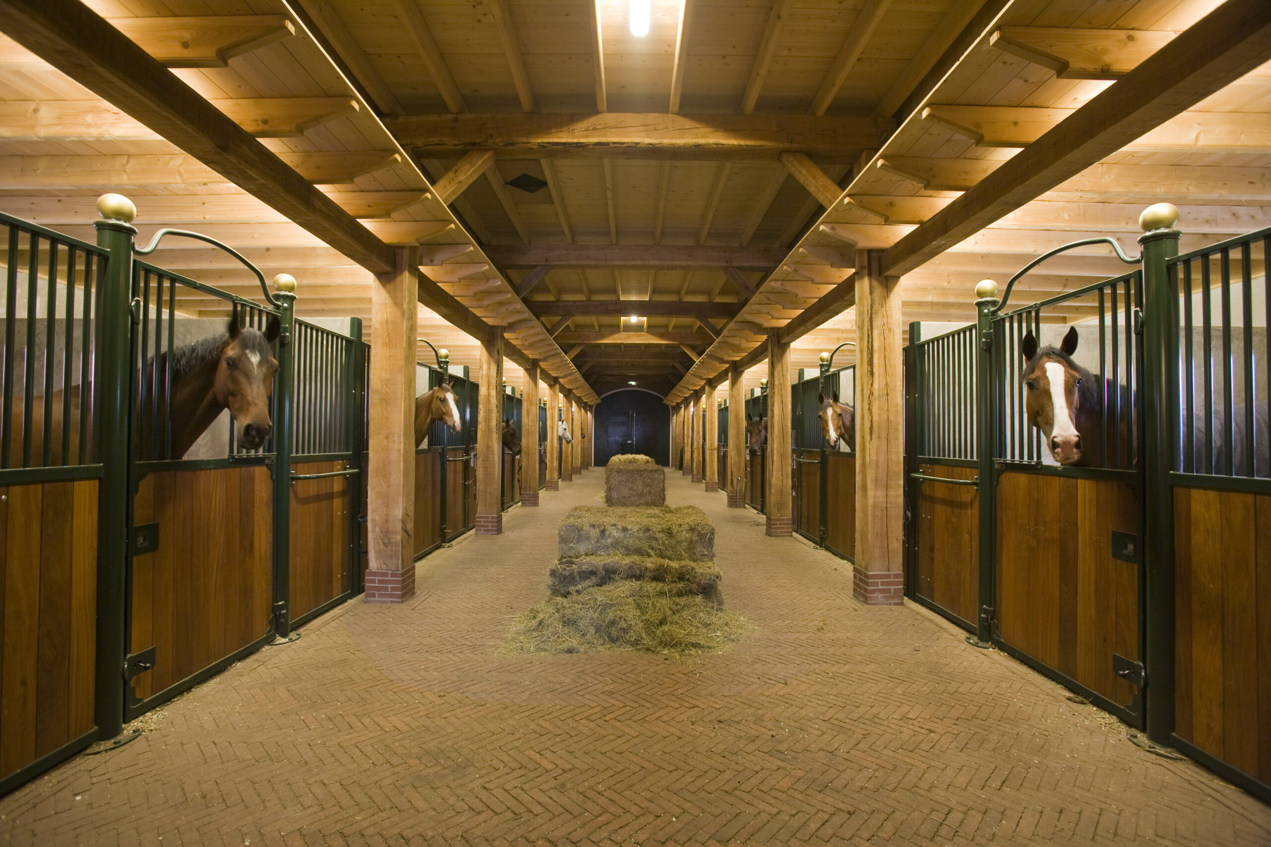 inside horse barns