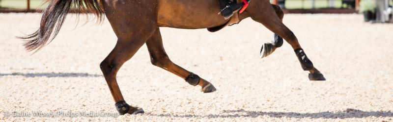 A close up of a horse's legs as it's cantering through an equestrian arena