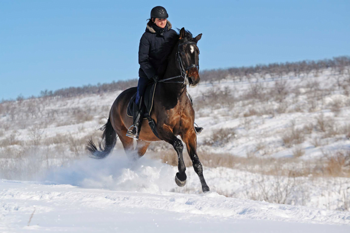 A horse and rider canter through the snow outside