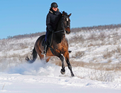Winter Maintenance Guidelines for Your Riding Arena and Your Horse
