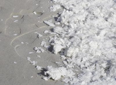 FSGeoTEX fibers next to wet beach sand