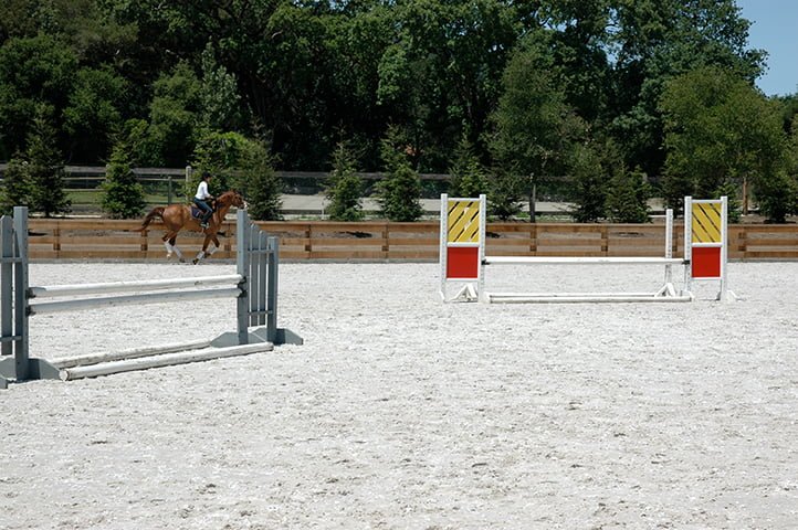 A jumping arena with the FSGeoTEX 5 star blend mix