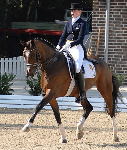 A dressage rider and horse in a collected trot