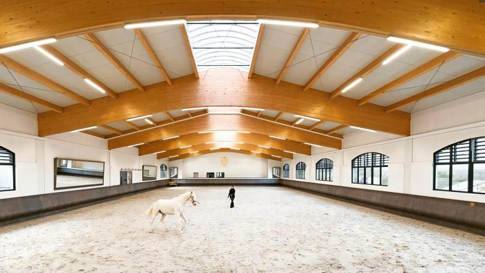 A person lunges a white horse in a beautiful indoor arena