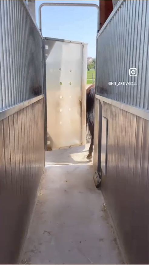 A horse from behind leaving a feeding station