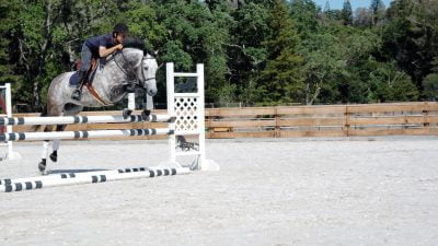 A gray horse and its rider are jumping over a fence in an arena with geotextile footing