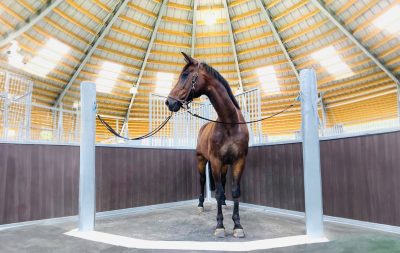 Taken from below, a brown horse stands on cross-ties in the center of a round barn