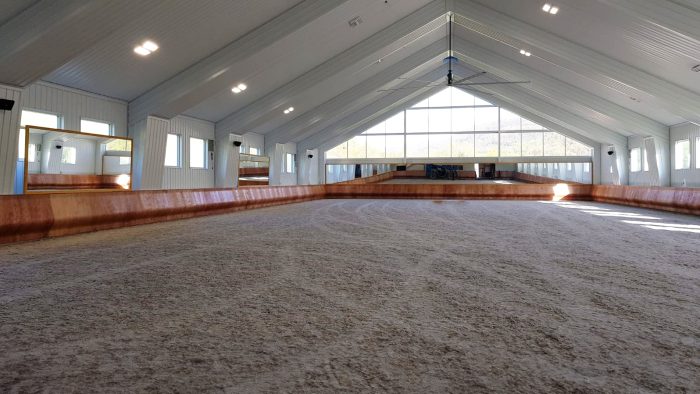 Taken from one side of an indoor arena to the other with nicely groomed footing, a safety kick wall, and dressage mirrors
