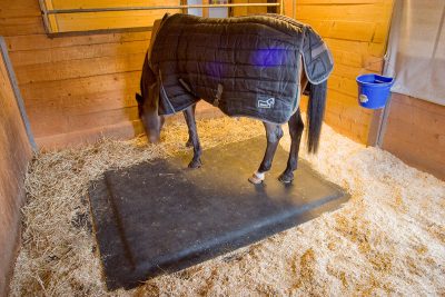 A horse stands on its Softbed Comfort stall mattress in its stall while eating hay