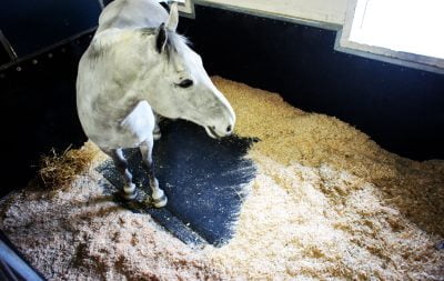 A photo of a horse, taken from above, standing on a padded stall mat that is partially covered with shavings