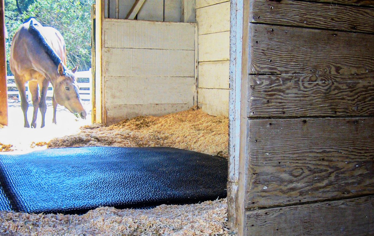 A SoftBed stall mattress in a stall, surrounded by shavings, with a horse seen in the background