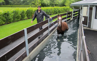 A horse walks in an aqua walker, led by a person on the outside of the exerciser