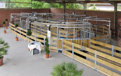 An oval shaped, water horse walker seen from a side/top angle