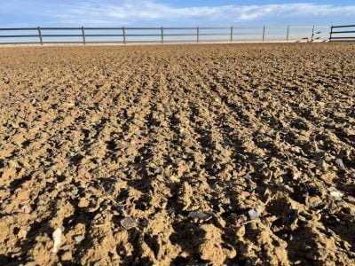 A neatly groomed horse Arena with focus on the footing