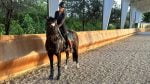 A horse and rider stand in an outdoor arena in front of the curved arena safety wall and arena mirrors