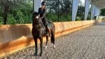 A horse and rider stand in an outdoor arena in front of the curved arena safety wall and arena mirrors