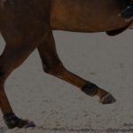 Cropped and darkended photo of a horse's legs cantering through an outdoor arena