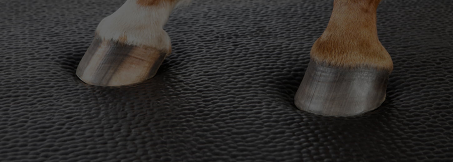 Cropped and darkened image of a horse's front hoove standing on a stall mattress