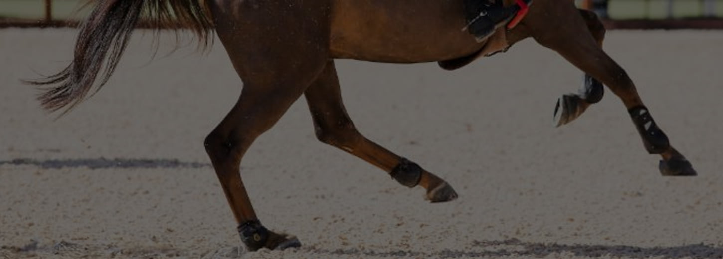 Cropped and darkended photo of a horse's legs cantering through an outdoor arena