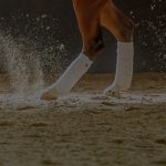 A horse's legs shown cantering through and kicking up arena footing with sand additives