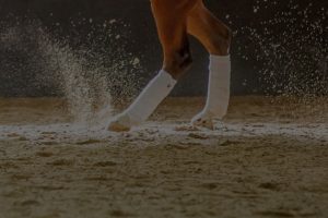 A horse's legs shown cantering through and kicking up arena footing with sand additives