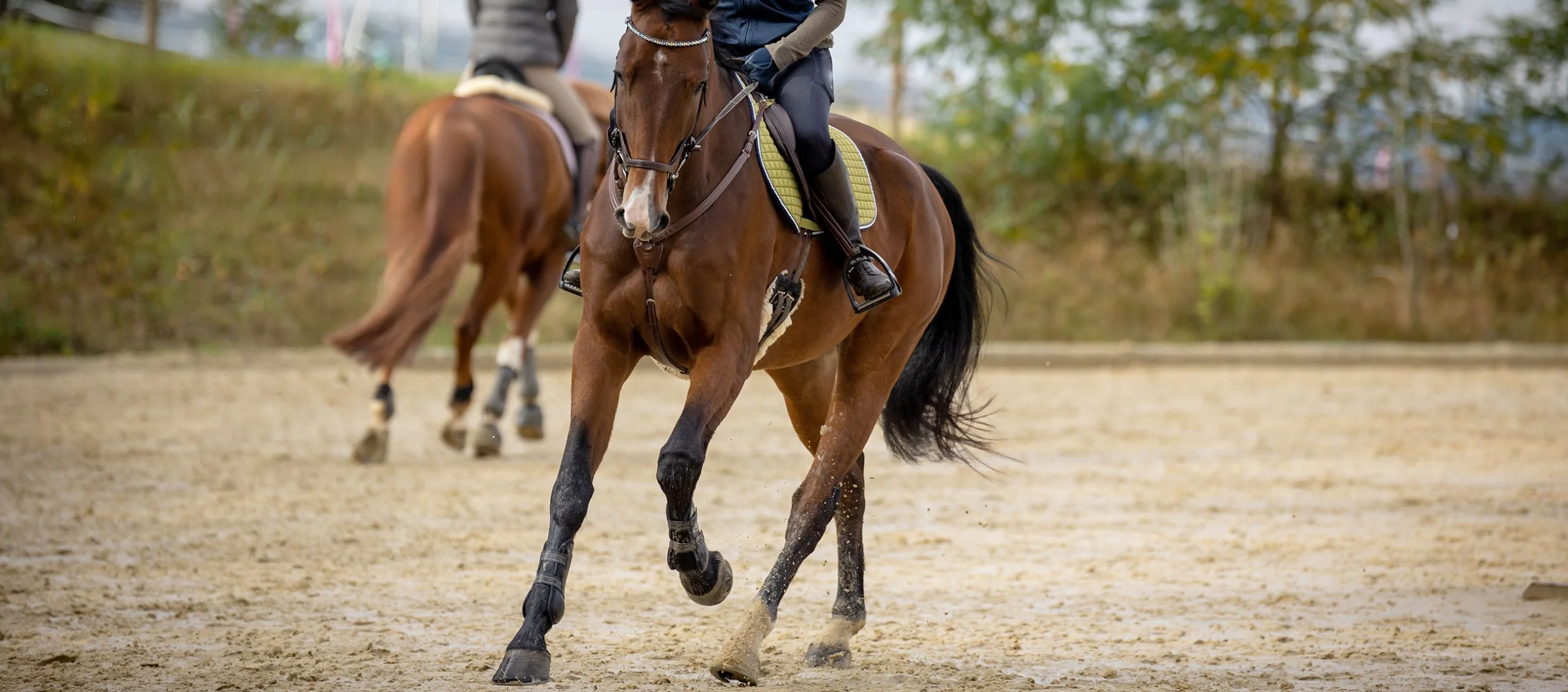 Two horses being ridden in opposite direction in an outdoor sand arena