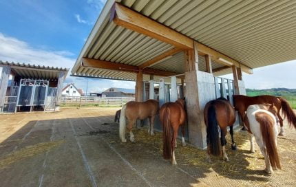 Automatic Horse Feeders - Footing Solutions LLC
