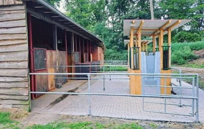A single paddock feeder with a cover is inside a paddock with a row of stalls