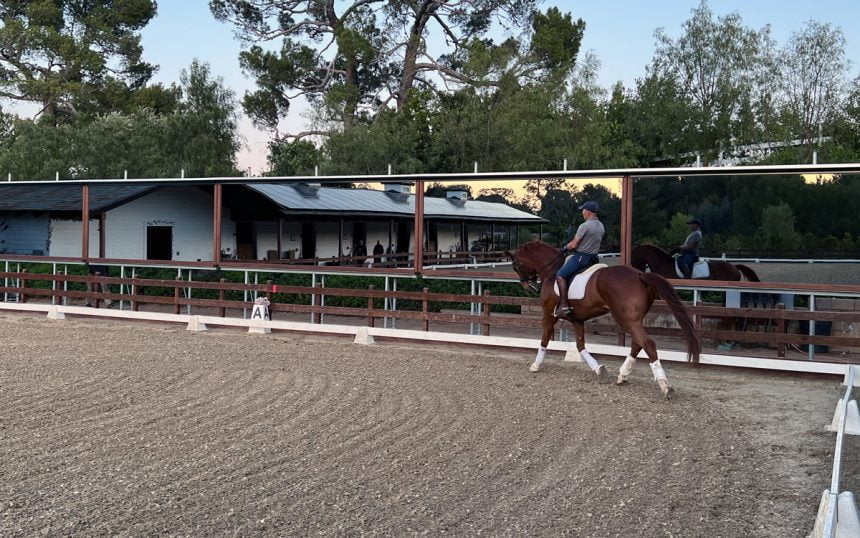 Horse Arena Mirrors Footing Solutions LLC