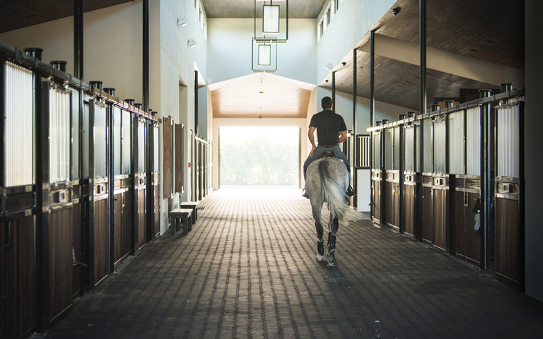 A grey horse is ridden away out of a barn