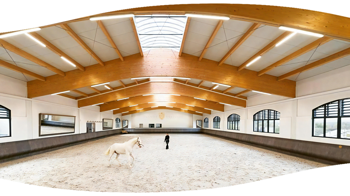 A person lunges a white horse in a beautiful indoor arena with a gray arena kick wall