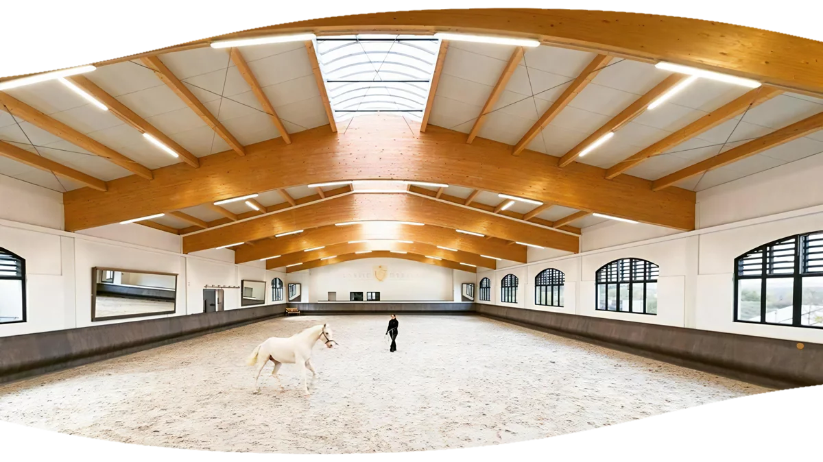 A person lunges a white horse in a beautiful indoor arena with a gray arena kick wall