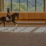 Mirrors and Kickwall