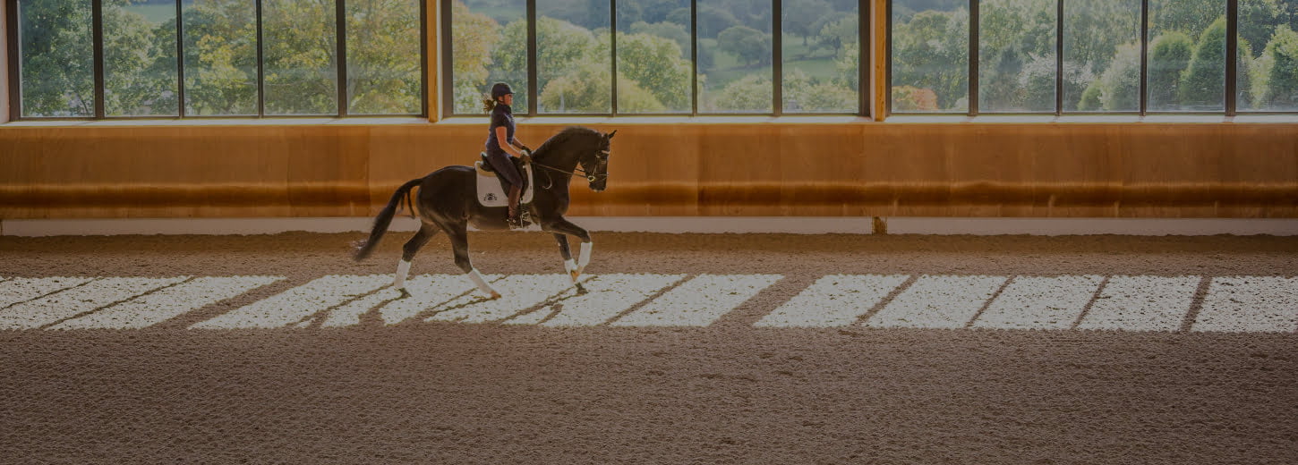 A dressage rider on a horse in a covered arena with the curved kick wall