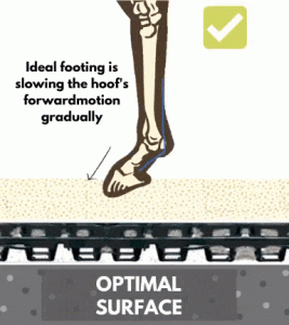 An illustration showing what optimal footing lookings like for a horse's leg