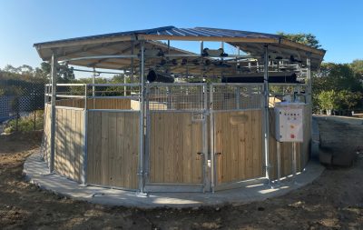 A small oval horse walker taken from the outside on the short side