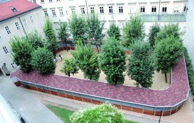 A custom oval horse exerciser encompassing trees