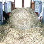 Four horses are eating a round hay bale out of an automatic horse feeder.