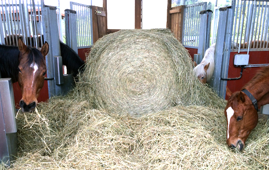 Four horses are eating a round hay bale out of an automatic horse feeder.
