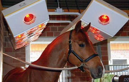 A chesnut horse on cross-ties, standing under a horse solarium