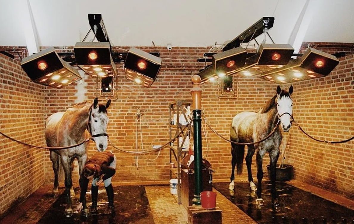 Two gray horses stand under solariums in a double tack stall, while a person brushes off the left horse's front hoof.